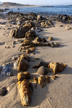 Yüksek açılı, kumlu bir plaja dağılmış çeşitli kaya ve çakıl taşlarının yakın görüntüsü. Kayalar, bazıları diğerlerinden daha pürüzsüz yüzeyler gösteren kahverengi ve bronz renkler sergiliyor..