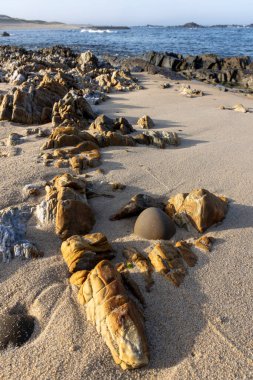 Yüksek açılı, kumlu bir plaja dağılmış çeşitli kaya ve taşların yakın görüntüsü. Kayalar ağırlıklı olarak kahverengi ve bronzdur, farklı şekil ve boyutlarda gösterirler. Kum açık bej.