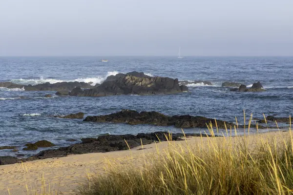 Görüntü bulutlu bir günde sahili gösteriyor. Ön planda kumlu bir sahilde uzun, kuru otlar yer alır. Orta zemin, okyanusa kısmen batmış koyu renkli kayaları ve küçük dalgaları gösteriyor.