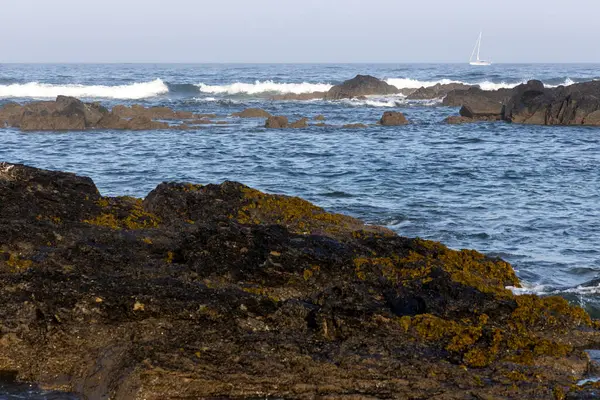 Görüntü kayalık bir kıyı şeridinin bir kısmını gösteriyor. Okyanus dalgaları yavaşça kayalara çarpıyor. Kayalar koyu renklidir, çoğunlukla siyah ve kahverengi görünürler..