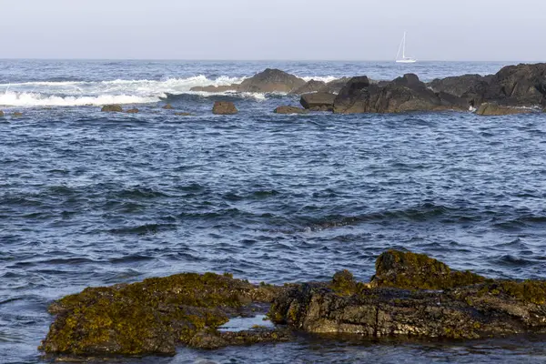Görüntü, dalgaların yavaşça kayalık bir kıyıya çarptığı bir okyanus bölgesinin peyzaj odaklı görüntüsünü gösteriyor. Ön plan karanlık, yosun kaplı kayalardan oluşur. Orta yol okyanusu gösteriyor.
