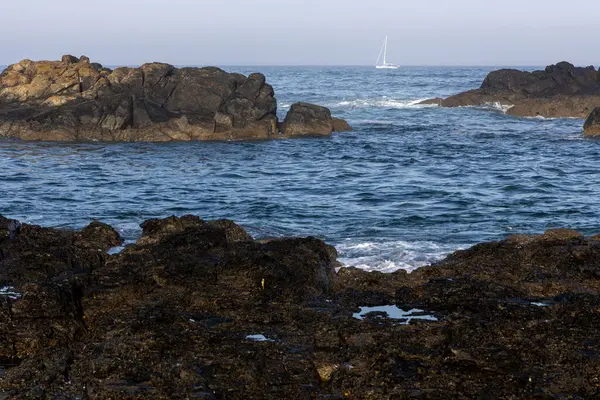 Görüntü kayalık bir sahil şeridinin peyzaj odaklı görüntüsünü gösteriyor. Ön planda okyanus suyuna kısmen batmış koyu renkli kayalar yer almaktadır..