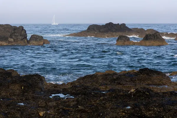 Görüntü kayalık bir sahil şeridinin peyzaj odaklı görüntüsünü gösteriyor. Ön planda dipten uzanan karanlık ve pürüzlü kayalar var. Orta kısımda dalgalı bir deniz var..