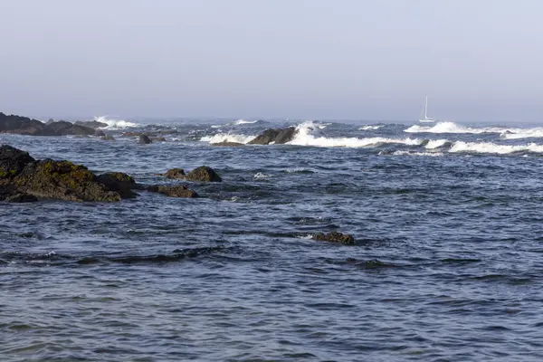 Görüntü dalgaların kayalık bir kıyı şeridine çarptığı engebeli bir denizi gösteriyor. Su ağırlıklı olarak koyu mavi ve beyaz noktalar aktif dalgaları gösteriyor.. 