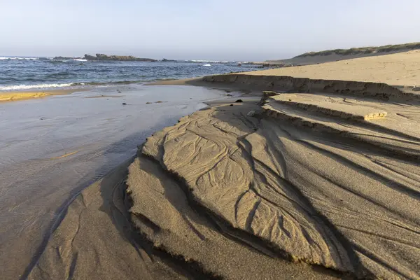 Yüksek açılı, uzun menzilli bir nehir kenarı aşınma ve tortu gösteriyor. Görüntü, nehir kıyısı boyunca birikmiş koyu ve açık kahverengi çökeltilerin karmaşık desenlerini gösteriyor..