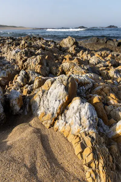 Çeşitli şekil ve boyutlarda taş koleksiyonunun yakın plan bir görüntüsü. Birçok kaya, ağırlıklı olarak sarımsı-kahverengi tonlarla çelişen önemli beyaz mineral yatakları gösterir..