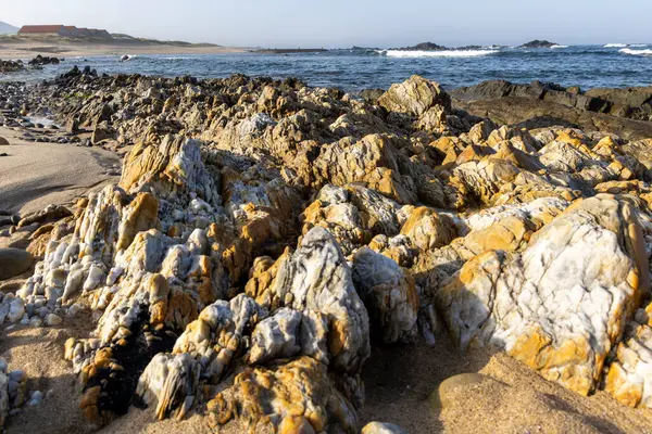 Yüksek açılı, dalgaların çekildiği kayalık bir kıyı bölgesinin yakın görüntüsü. Resim, boyut, şekil ve renk olarak değişen bir kaya koleksiyonunu gösteriyor. Kayalar öncelikle sarı, kahverengi ve gri tonlarıdır..