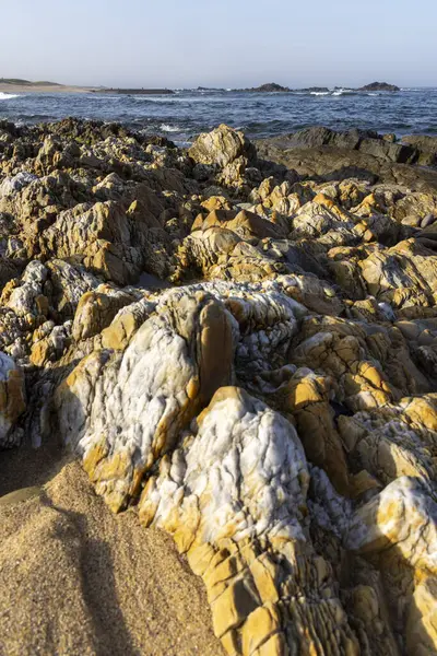 Yüksek açılı, yakın plan taş koleksiyonu. Kayalar, esasen bronz, kahverengi ve açık beyaz tonlarında çeşitli renkler sergilerler. Yüzeyler pürüzlü ve düzensiz..