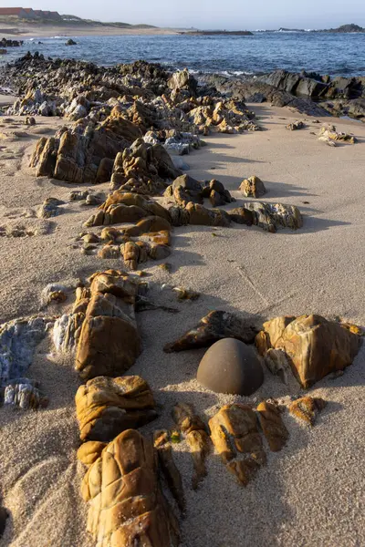 Yüksek açılı, kumlu bir plaja dağılmış çeşitli kaya ve çakıl taşlarının yakın görüntüsü. Kum açık renklidir ve kayalar kahverengi ve yeşilimsi renkler sergiler..