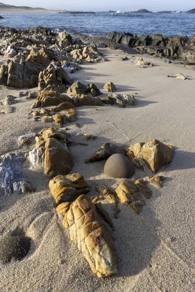 Yüksek açılı, kumlu bir plaja dağılmış çeşitli taşların ve çakıl taşlarının yakın görüntüsü. Taşlar ağırlıklı olarak açık kahverengi ve bronzdur, çeşitli doku ve şekiller sergilerler..