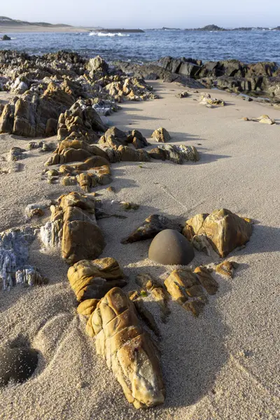 Yüksek açılı, kumlu bir plaja dağılmış çeşitli kaya ve taşların yakın görüntüsü. Kayalar ağırlıklı olarak kahverengi ve bronzdur, farklı şekil ve boyutlarda gösterirler. Kum açık bej.