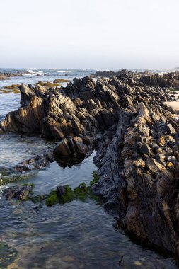 Görüntü dalgaların çekildiği kıyı kayaları oluşumunu gösteriyor. Kayalar koyu renkli, pürüzlü ve şekil ve boyut olarak farklıdır. Islak görünüyorlar, bazı bölgelerde ışığı yansıtıyorlar..
