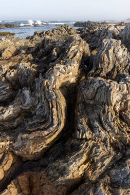 Taş yüzeyin yakın çekimi karmaşık doku ve desenleri ortaya çıkarıyor. Görüntü, koyu kahverengiler ve grilerden açık sarı ve bronzlara kadar çeşitli renkleri gösteriyor.. 