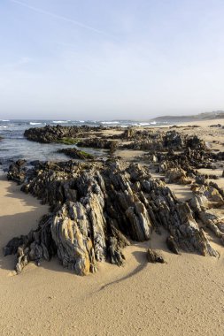 Görüntü dalgaların çekildiği kayalık bir kıyı şeridini gösteriyor. Ön planda koyu gri ve açık bej kayalar, değişik boylarda ve şekillerde bazıları koyu yeşil algler ile kaplıdır. Kum görünür.