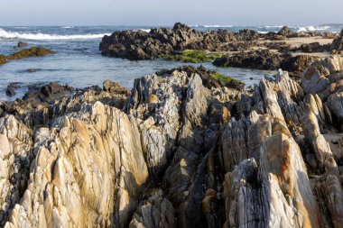 Görüntü kayalık bir sahil şeridini yakından gösteriyor. Kayalar ağırlıklı olarak koyu gri ve kahverengidir, renk ve doku değişiklikleri farklı taş türlerini işaret eder.. 