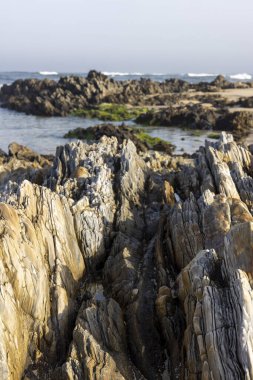 Kayalık bir kıyı oluşumunun yakın görüntüsü. Görüntü çeşitli kaya şekilleri, boyutları ve renkleri göstermektedir, esasen gri, kahverengi ve bej tonlarıdır. Kayalar yıpranmış ve dokulu görünüyor..