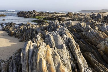 Görüntü, bir kıyı kayası oluşumunun detaylı yakın görüntüsünü gösteriyor. Kayalar ağırlıklı olarak koyu gri ve bronzdur, belirgin katmanlar ve çizgiler gösterirler. Kayaların dokusu pürüzlü.