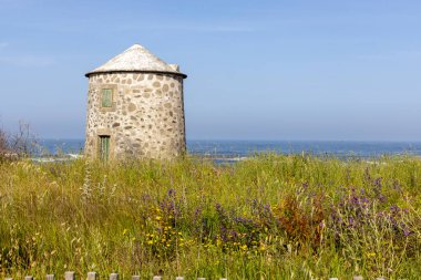 Görüntü, uzun otlar ve kır çiçekleriyle dolu bir tarlada duran ıssız bir yel değirmenini gösteriyor. Yel değirmeni konik bir kapakla silindirik, yaşlanmış ve yıpranmış görünüyor.. 