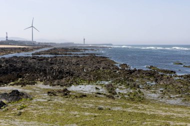 Görüntü, okyanusla buluşan kayalık bir sahil şeridinin panoramik görüntüsünü gösteriyor. Ön planda koyu renkli kayalar ve seyrek, kuru görünümlü bitki örtüsü bulunur. Ortalarında kaldırımlı bir patika ya da yürüyüş yolu var.