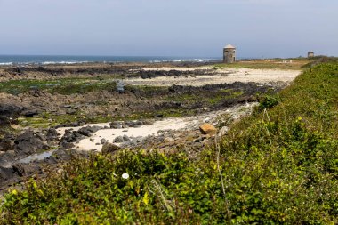 Görüntü, seyrek bitki örtüsüne sahip kayalık bir kıyıya sahip bir kıyı manzarasını gösteriyor. Ön planda çeşitli alçak bitki ve otlar gösterilir. 