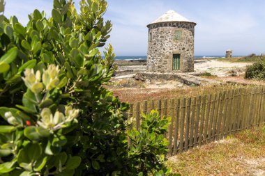 Görüntü, kıyı manzarasında bulunan yıpranmış bir yel değirmenini gösteriyor. Yel değirmeni konik bir kapakla silindirik..