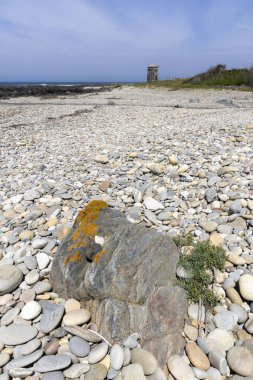 Yüksek açılı, taşlı bir sahilin yakın görüntüsü. Görüntü, zemini kaplayan çeşitli boyutlarda gri ve bej taşlar ve çakıl taşlarını gösteriyor. Daha büyük koyu gri bir kaya kısmen görülebilir.