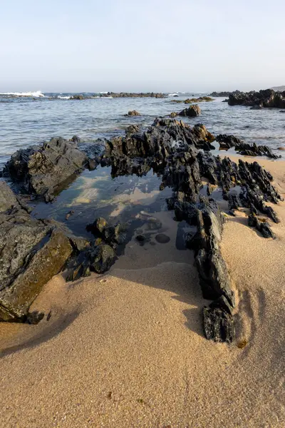 Yüksek açılı, dalgaların çekildiği kayalık bir kıyı şeridine yakın çekim. Görüntü koyu renkli, düzensiz şekilli kayaları gösteriyor. Bazıları ıslak, bazıları kuru. Açık renkli kum görünür..