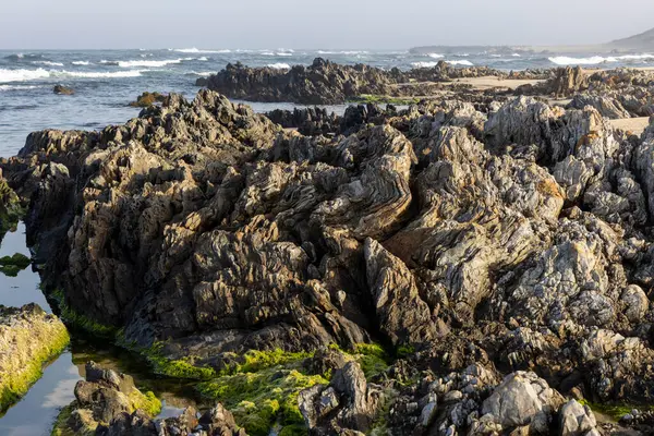 Görüntü, kıyıdaki koyu renkli kayaların yakın görüntüsünü gösteriyor. Kayalar şekil ve boyut olarak düzensiz, çeşitli doku ve yarıklar görülebilir..