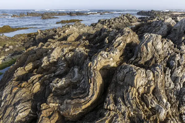 Yüksek açılı, kıyı kayaları oluşumuna yakın çekim. Görüntü koyu gri ve açık gri kayaların detaylı bir dokusunu gösteriyor. Kahverengi aksanlı, çeşitli şekil ve desenler sergiliyor..  