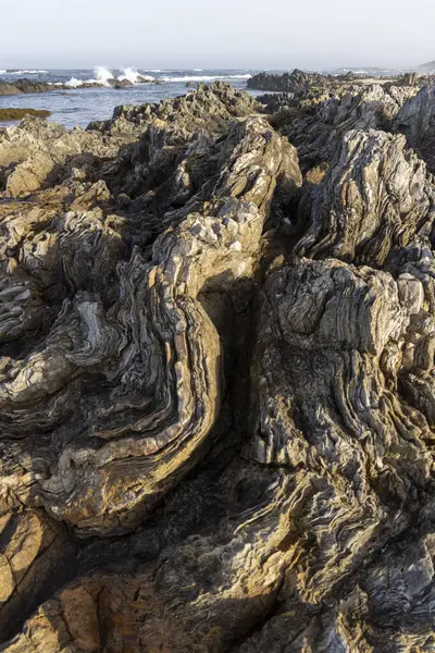 Taş yüzeyin yakın çekimi karmaşık doku ve desenleri ortaya çıkarıyor. Görüntü, koyu kahverengiler ve grilerden açık sarı ve bronzlara kadar çeşitli renkleri gösteriyor.. 