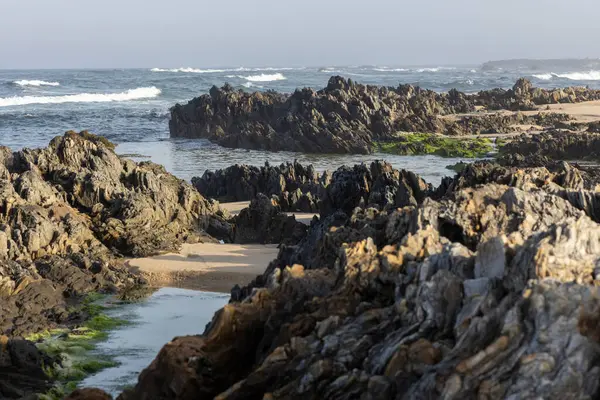 Görüntü, gelgit havuzları olan kayalık bir kıyı şeridini gösteriyor. Kayalar koyu renklidir, şekil ve boyut olarak değişkendir, pürüzlü bir dokuya sahiptir. Okyanus dalgaları arka planda görünür..