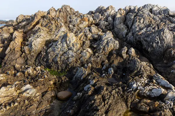 Kayalık bir sahil şeridine yakın çekim. Görüntü, gri, kahverengi ve bej tonlarında çeşitli boyutlardaki kayaların detaylı dokusunu gösteriyor. Kayalar katmanlı ve aşınma belirtileri göstererek yıpranmış görünüyor..