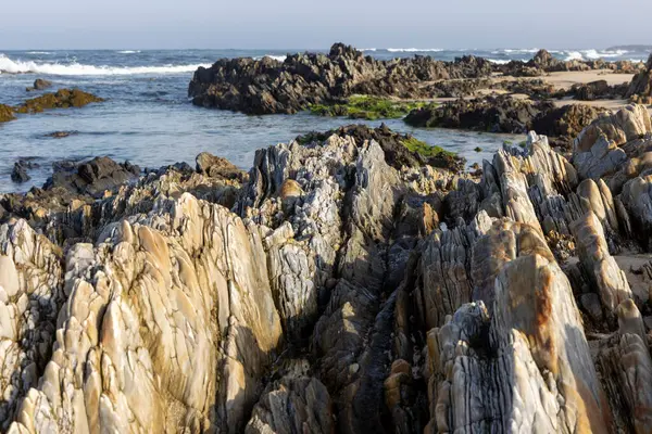 Görüntü kayalık bir sahil şeridini yakından gösteriyor. Kayalar ağırlıklı olarak koyu gri ve kahverengidir, renk ve doku değişiklikleri farklı taş türlerini işaret eder.. 