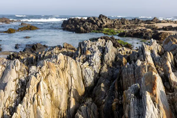 Görüntü kayalık bir sahil şeridini yakından gösteriyor. Ön planda çeşitli dokulara sahip koyu ve açık renkli kayalar var. Bunlar yıpranma ve aşınma belirtileri gösteriyor..