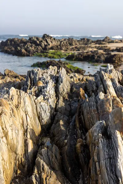 Kayalık bir kıyı oluşumunun yakın görüntüsü. Görüntü çeşitli kaya şekilleri, boyutları ve renkleri göstermektedir, esasen gri, kahverengi ve bej tonlarıdır. Kayalar yıpranmış ve dokulu görünüyor..