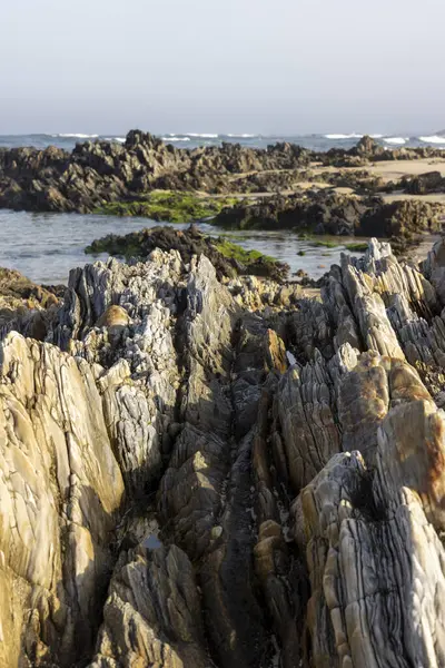 Görüntü kayalık bir kıyı bölgesinin yakın görüntüsünü gösteriyor. Kayalar ağırlıklı olarak koyu gri ve açık bej renklidir, çeşitli doku, şekil ve boyutları gösterirler. Bazı kayalar pürüzsüzdür.