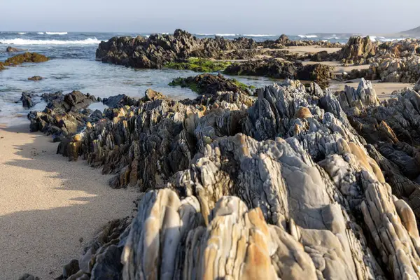 Görüntü dalgaların çekildiği kayalık bir kıyı bölgesinin detaylı bir görüntüsünü gösteriyor. Ön planda koyu gri ve açık bej renkli kayalar, değişik şekil ve boyutlarda, bazıları katmanlı veya çizgili olarak görülür..