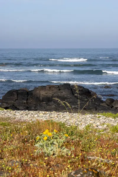 Görüntü kayalık bir kıyı şeridinin okyanusla buluştuğunu gösteriyor. Ön plan, seyrek bitki örtüsüne sahip koyu, pürüzlü kayalardan oluşur. Orta kısımda daha çok kaya var..