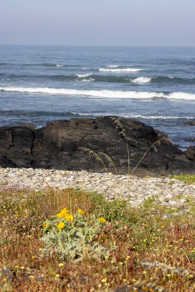 Görüntü, kıyı şeridine yakın koyu renkli, dokulu bir kaya oluşumunu gösteriyor. Kaya ağırlıklı olarak koyu gri veya siyahtır ve pürüzlü ve yıpranmış görünür..  