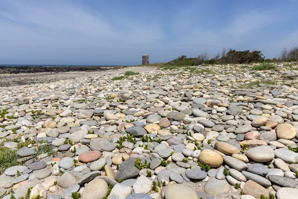 Görüntü, çakıl taşı plajının geniş bir görüntüsünü gösteriyor. Ön plan pürüzsüz, yuvarlak çakıl taşlarının çeşitli boyutları ve renkleri ile yoğun bir şekilde kaplıdır. Düşük seviyeli yeşil bitki örtüleri...