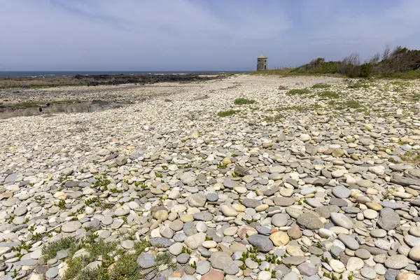 Görüntü, bir çakıl taşı plajının panoramik manzarasını gösteriyor. Ön planda geniş bir açık renkli çakıl taşları ve çeşitli boyutlarda küçük taşlar var. Nadir, alçak bitki örtüsü görünür.