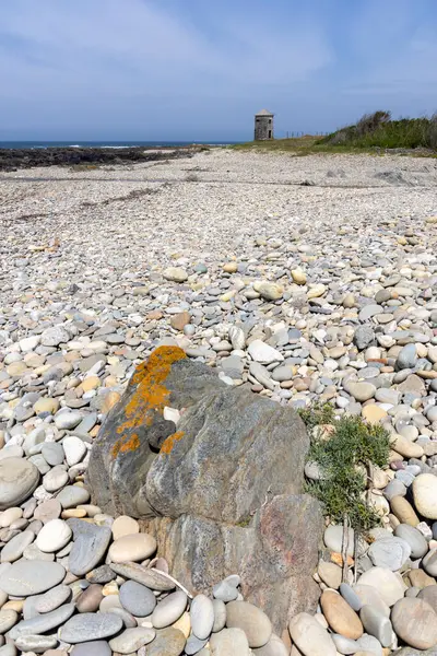 Yüksek açılı, taşlı bir sahilin yakın görüntüsü. Görüntü, zemini kaplayan çeşitli boyutlarda gri ve bej taşlar ve çakıl taşlarını gösteriyor. Daha büyük koyu gri bir kaya kısmen görülebilir.