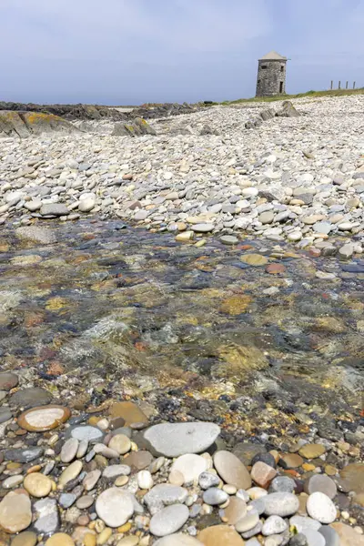Sığ bir dere yatağının yakın görüntüsü. Su berraktır ve çeşitli boyutlardaki pürüzsüz taşların ve esasen kahverengiler, bronzlar ve griler olmak üzere farklı renklerdeki çakıl taşlarının görünmesini sağlar. Taşlar...