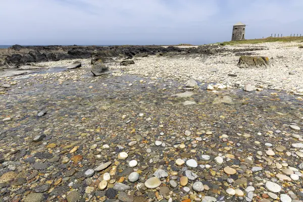 Plaj manzarasının geniş bir görüntüsü. Ön plan ağırlıklı olarak kumlu bir plaja dağılmış çeşitli deniz kabukları ve kayalardan oluşmaktadır..  