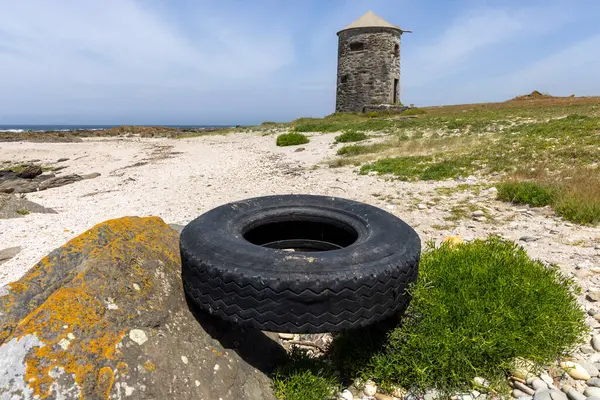 Görüntü, kumlu bir sahilde kayaların yanında yıpranmış siyah bir lastiği gösteriyor. Alçak yerde bulunan bitki örtüsü lastiğin yanında ve arka planda görülebilir..
