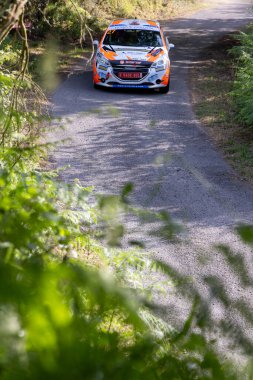 Ourense, İspanya, 13 Haziran 2025: Yüksek açılı, yemyeşil bitki örtüsü boyunca kıvrılan çakıl yolunun yakın görüntüsü.