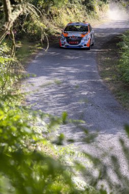 Ourense, İspanya, 13 Haziran 2025: Yüksek açı, dar bir yolun yakın çekim görüntüsü ya da yoğun, güneş lekeli bitki örtüsünün içinden geçen yol.