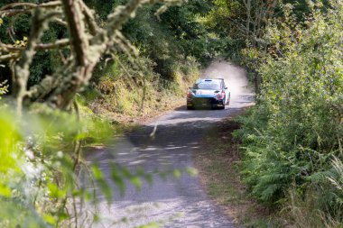 Ourense, İspanya, 13 Haziran 2025: Görüntü dar, dolambaçlı bir ormandan geçen açık renkli rali arabasını gösteriyor..