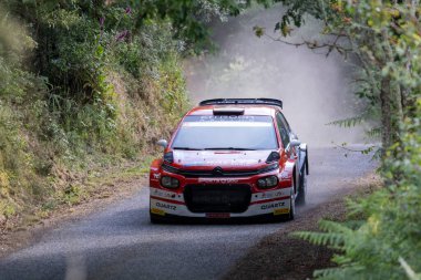 Ourense, İspanya, 13 Haziran 2025: Görüntü, yemyeşil bir orman boyunca kıvrılan dar asfalt bir yolda hareket eden kırmızı ve beyaz bir ralli arabasını gösteriyor..