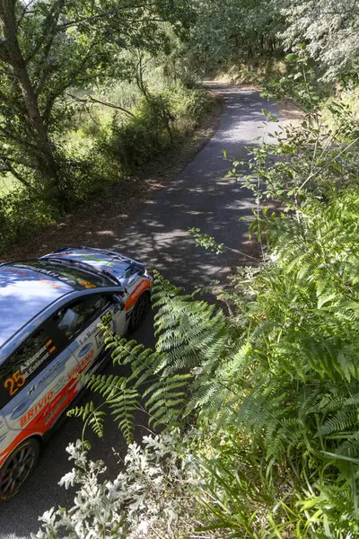 Ourense, İspanya, 13 Haziran 2025: Dar, dolambaçlı bir yolda, yemyeşil yeşilliklerle kısmen gizlenmiş gümüş bir rali aracının yüksek açılı yakın çekimi.